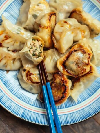 1 Delicious Chinese Pork Dumplings